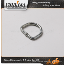 Stainless Steel D Ring